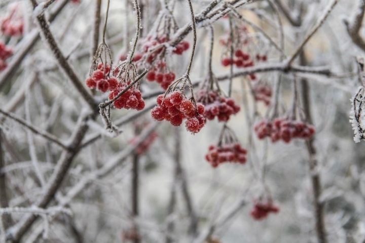 ������ ����, ������!. �� ������� ����� ���������� ������ ��� �������