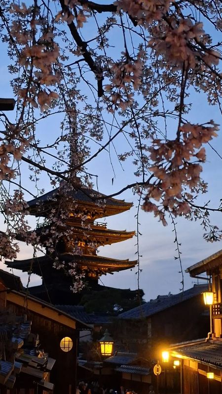 �������� ����� � ���������