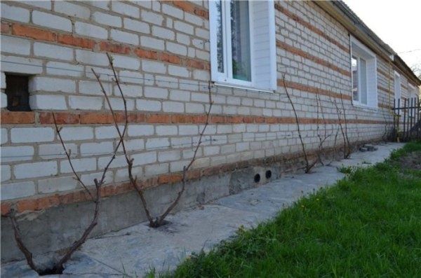 �������� ������ ��������: ��� ����� ��������� ����������� ��������