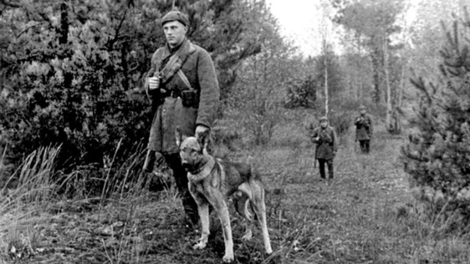 "���� �� ����� �����: �������� ������������!"