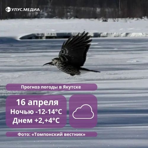 ������� ���� ������ ��������� �� ��� ������: � ������ �� 16 ������