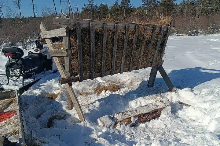 � �������� �������� ������� ������� �������� ����� ��������� ����� ��������