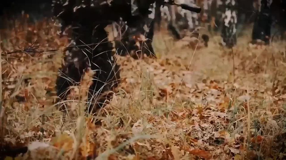 ����� ���� ���������!. �����, ��� ����� ������, �� �������� ����������� � ����� ���� ������ � ���, ��� �������� ����, ����, ����, ��������� ������