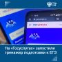 Школьники теперь могут бесплатно готовиться к ЕГЭ через портал «Госуслуги», сообщили в Минцифры