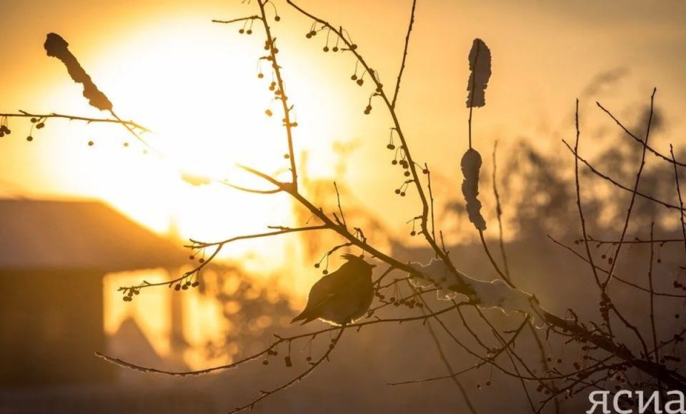 �� +10 �������� ��������� � ���� ������� ������