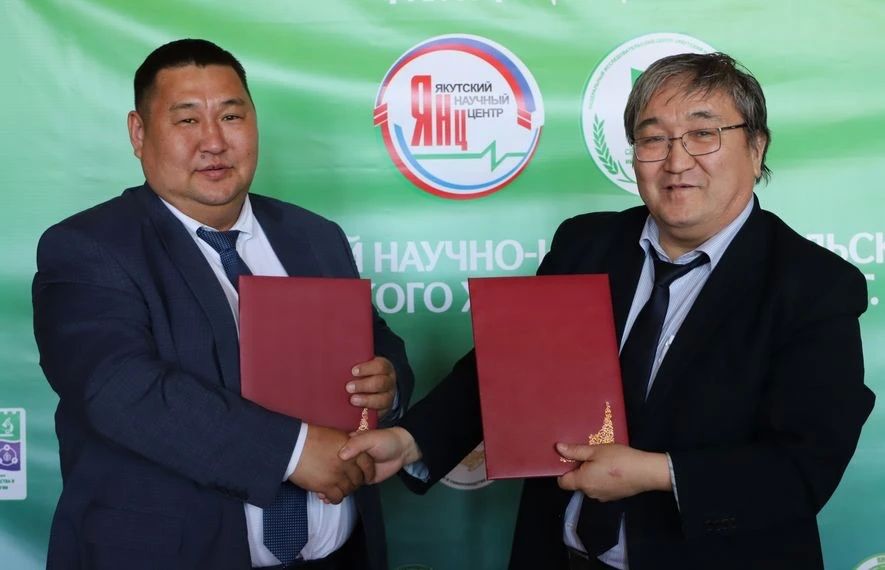 ����-��������� ����� � �������� ����� ������� ��������� � �������� ���������