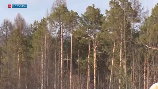 ������������� �������. /11.04.26/