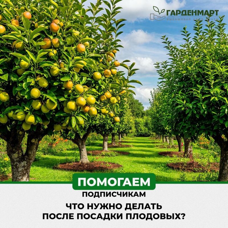 ���� �� ���������: ������� �������� ������� � ������