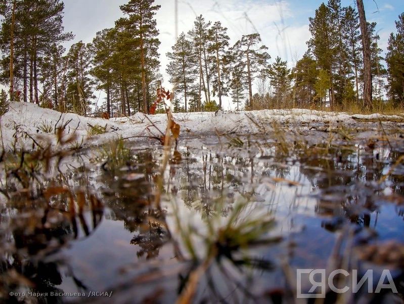 � ������� +6, � ������� +11: ������� ������ �� �������