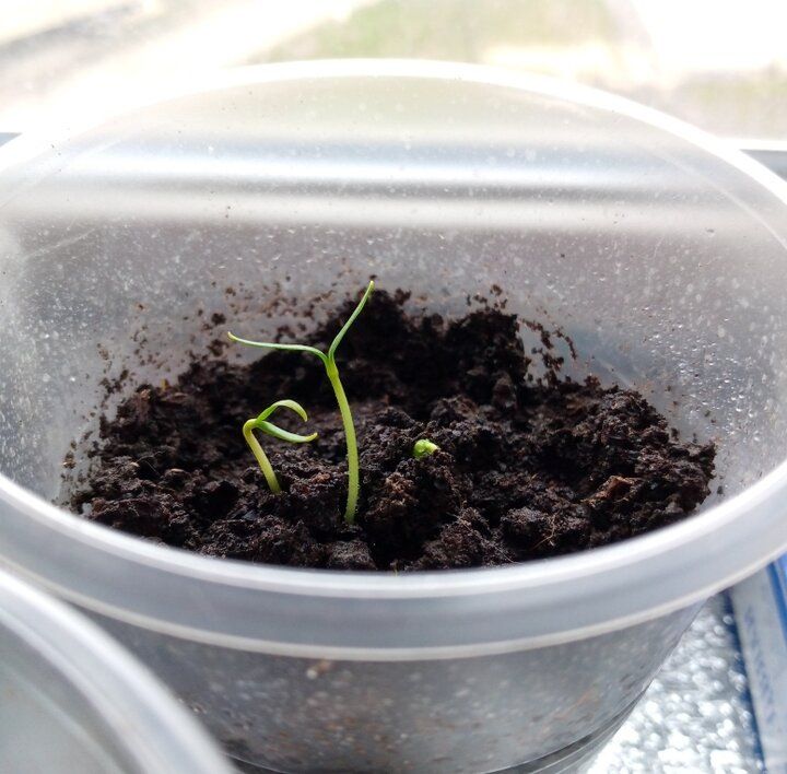 ����: ����� �� ���������� ������ � ��� �� ������ �� �� ����