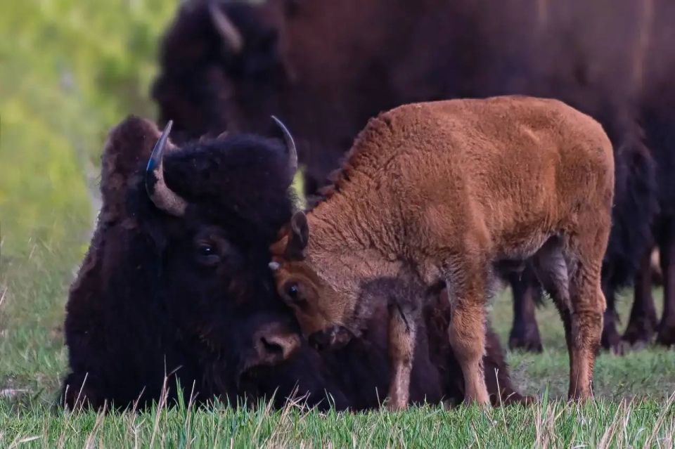 �������������� ��������� ������ ������� � ������