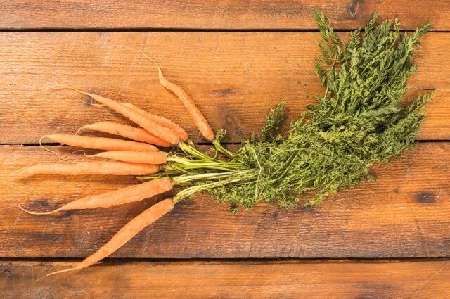 ��������� �����: ����������� ���������, ������� ����� �����������