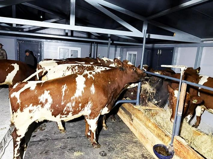 �-����� ������� �������� ������� ���������