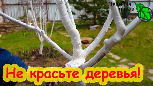 ��� ���������� ������� ����������� ������� ��� ������ ������� ��������