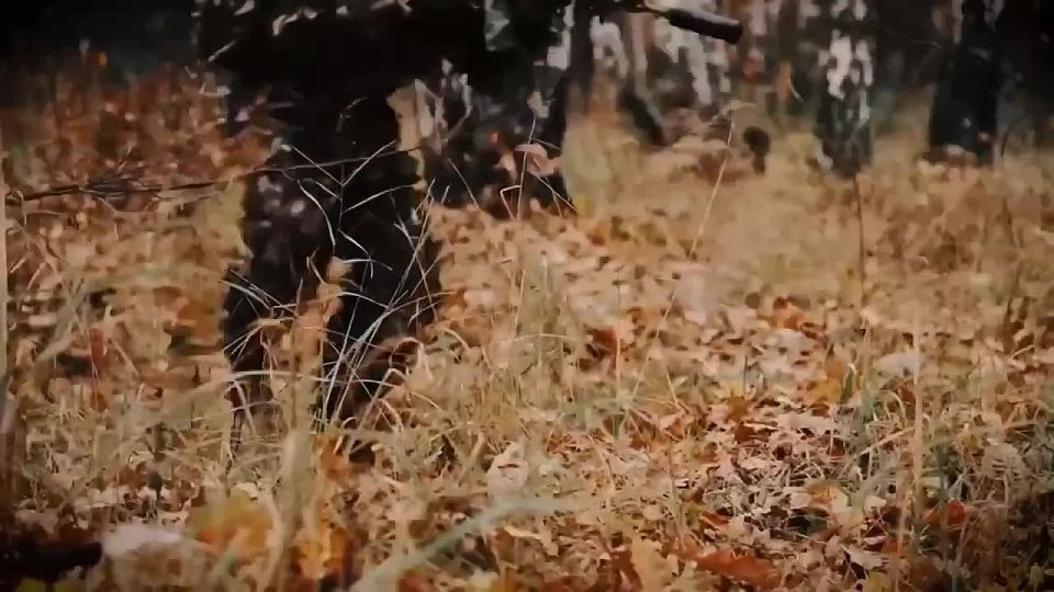 ����� ���� ���������!. �����, ��� ����� ������, �� �������� ����������� � ����� ���� ������ � ���, ��� �������� ����, ����, ����, ��������� ������