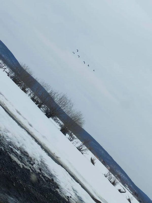 #���������������: � ��������� ������ ������� ������ �������� ���� ��������, ����������� ��� ����������