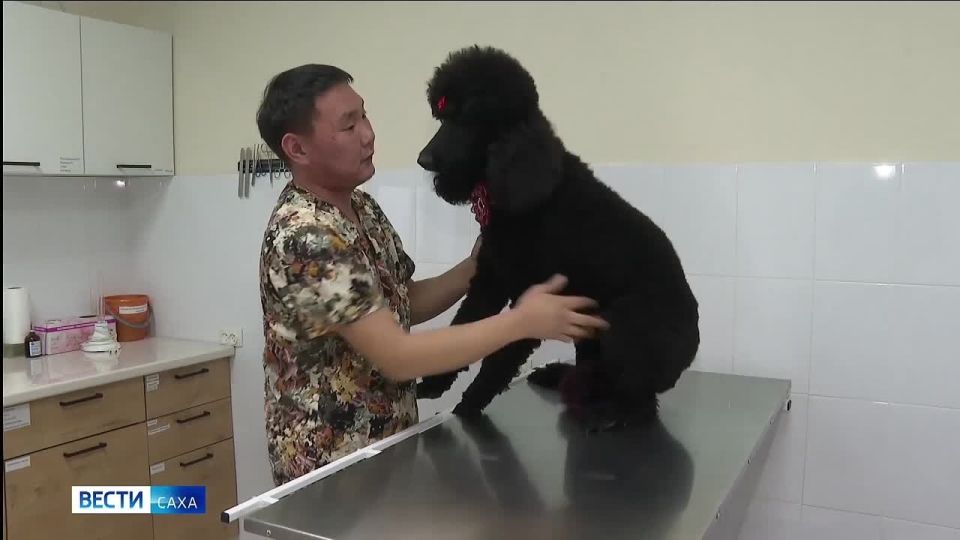 18 ������ � ������� � ����� ������ ��������� ����� "��������� � ���!"