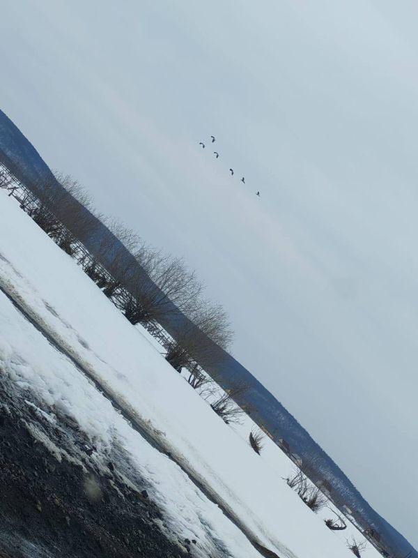 #���������������: � ��������� ������ ������� ������ �������� ���� ��������, ����������� ��� ����������