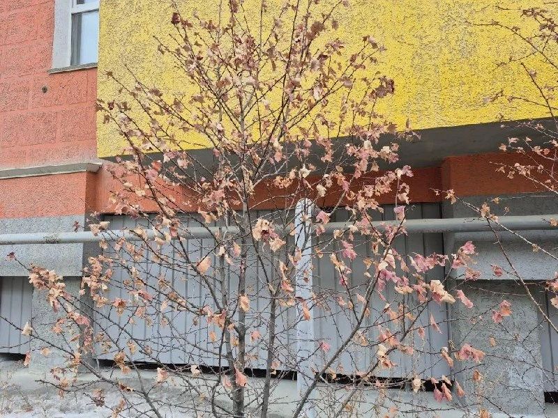 ������ �������� ��������, ��� � ������� �� �������� �� ���� ��� � �� ����� ������