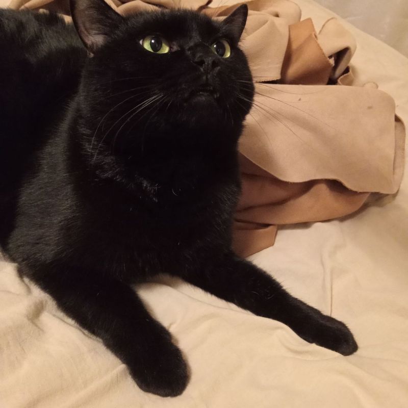 ��������� ������� ��� �������� ��������