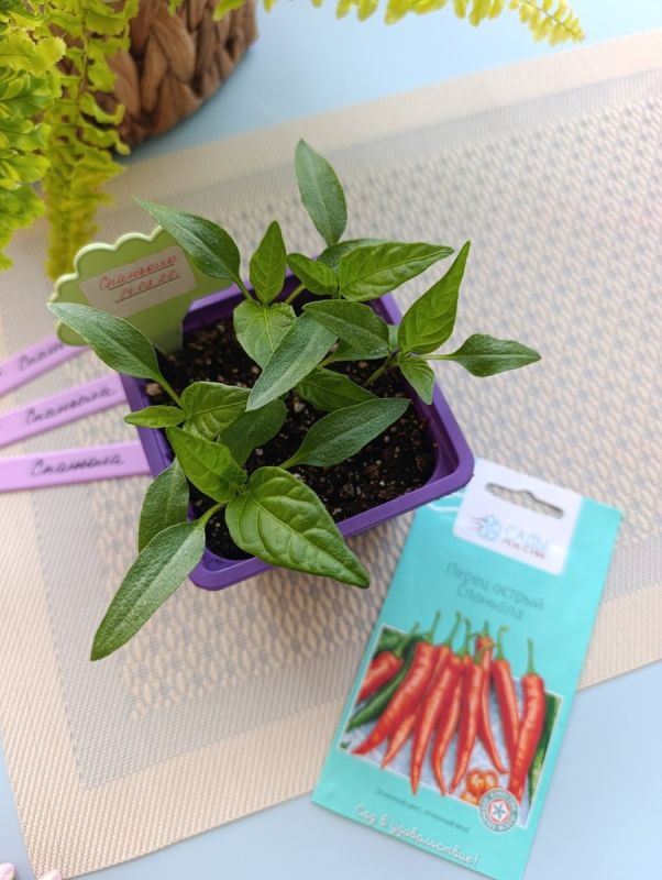 ������������� �����: ���������� ��� ��� ������� �����?