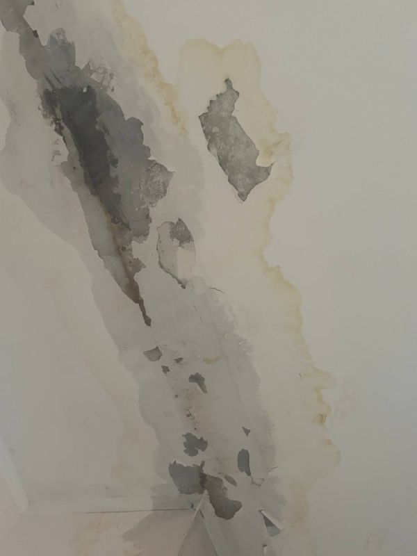 #����� �� ����������� � ������� ������ �� ����� ��������� �������� � ������ ������, ��� ����� � �������� ���������, ������������� ��� ����� ������ ����������