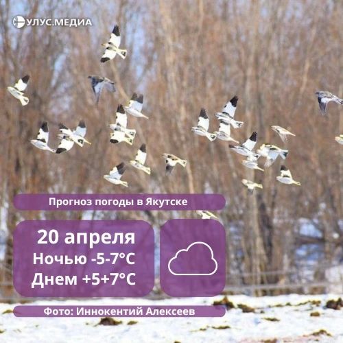 ��������������� ��� �������: � ������ � ������ 20 ������