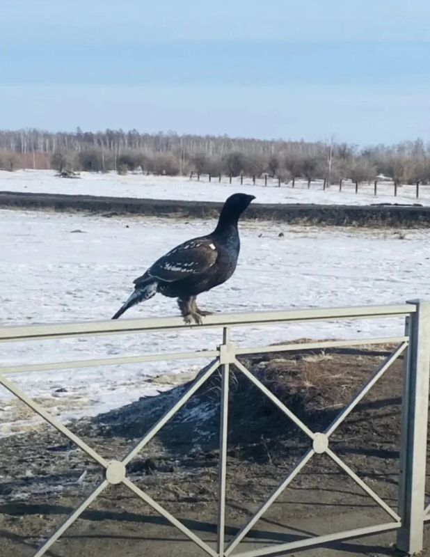 ������� �������� �� ��������� ������ � ������� ���� ��������