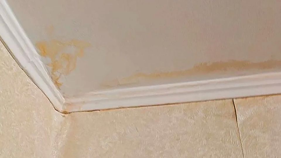 ������ ������: ���� ���������� ��� ���������� �������� � �����