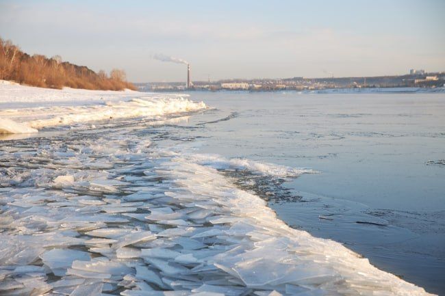 41 �������� ���� �������� � ������ ��� �������� ������� �� ����������