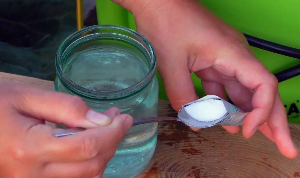 ������ ������ �����: ��� ����������� ����� ��� ���������� ����