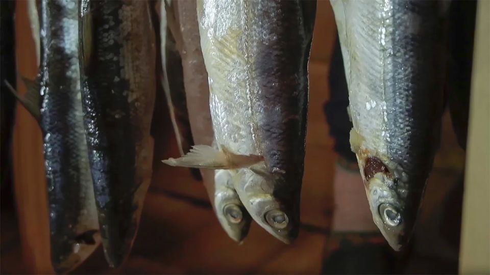 � ��������� ������ ������ ����������� ������������ ������������� ������� ������ ��������� ������ ������� � ������ �������� ������ ���������� ����������������� ���������