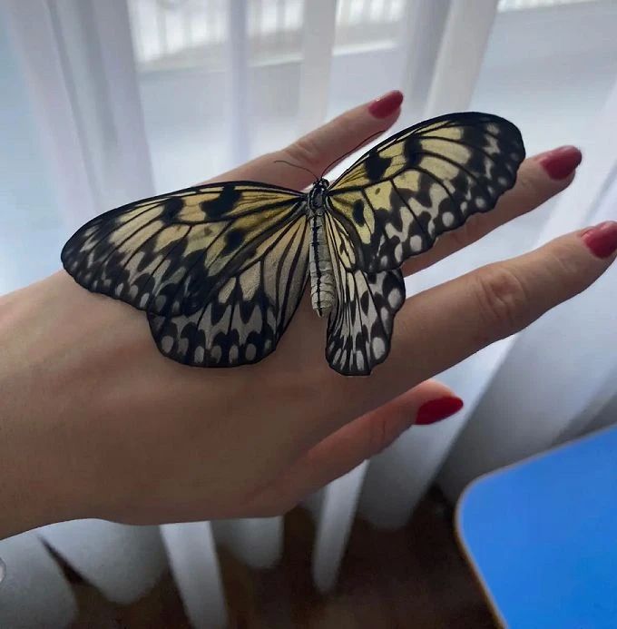 ������ �� ���������� ����� � ���� ��������