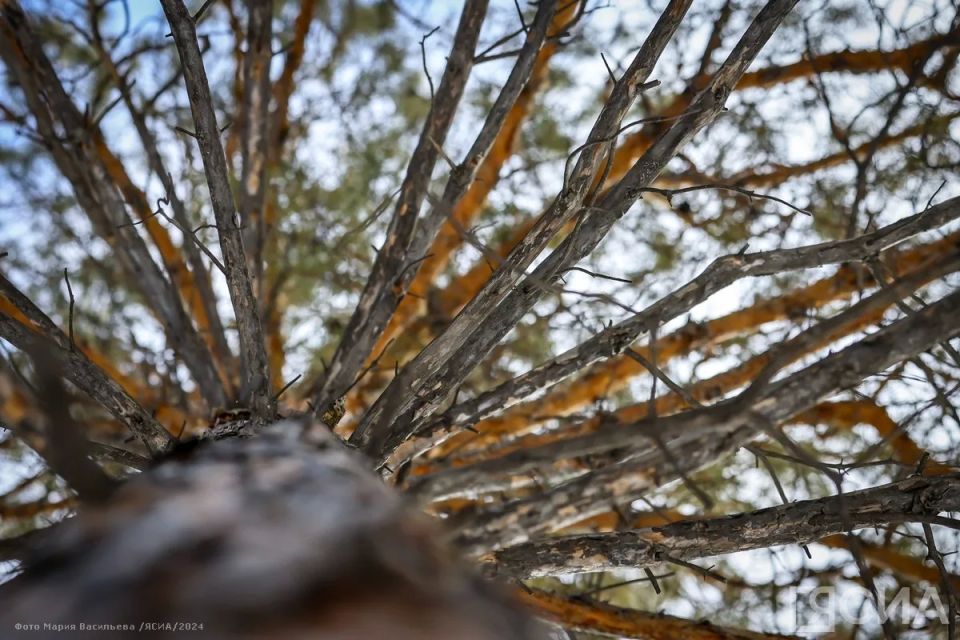 ����� ����� ������ � ������ 21 ������ � ������� ����������