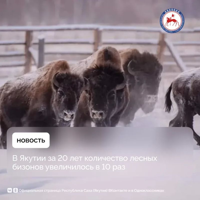 � 2006 ���� ������� ������� 30 ������� ������ ������� �� ������������� ����� �Elk Island� ������