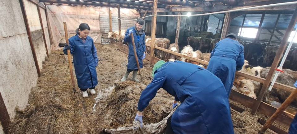 ��������� ��������� ��������� ������ �������� �.�.�������� ������� ������-��������� ���� �������������� 10 ������� ������ ������ ���������� ���������������� �����, ��-�� ������ ��������