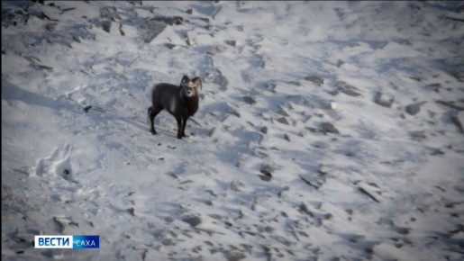 � ������ ������� ����� ������� ����� ����������� ������� �� ����������� �������������� �������� ������ ������