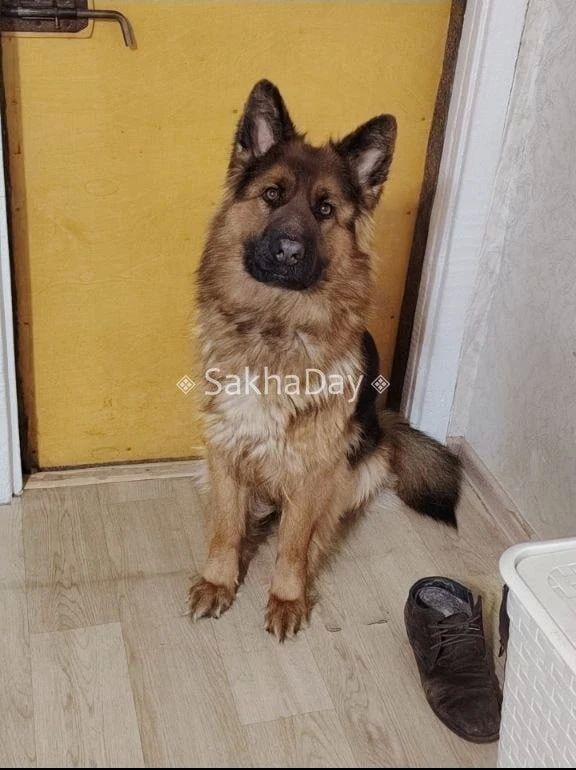 �������� ���������� ����� ����� ����� �����! ����� ������� �� ����� �������� ���� � ������ �����-����, ������� ����� 2 ������