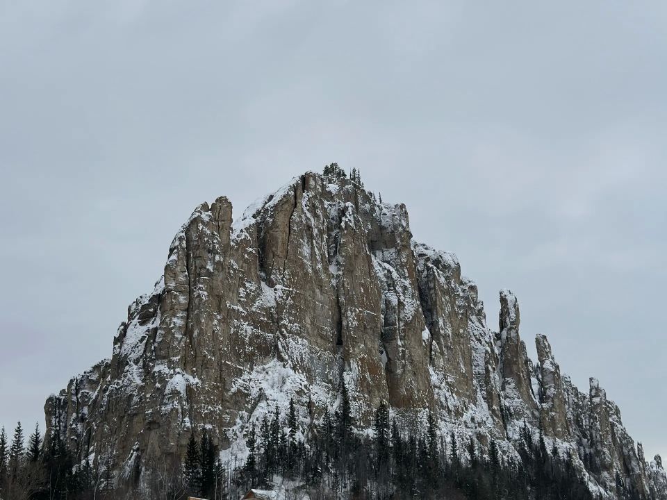 ������ ������������� ����� � �������� �������� ����������� � 20 ������