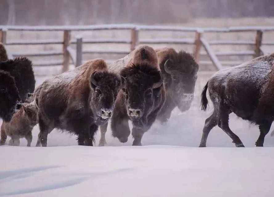 � ������ �� 20 ��� ���������� ������ ������� ����������� � 10 ���