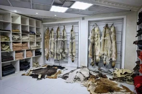 ���� ������ ���������� ���-��������� ����������