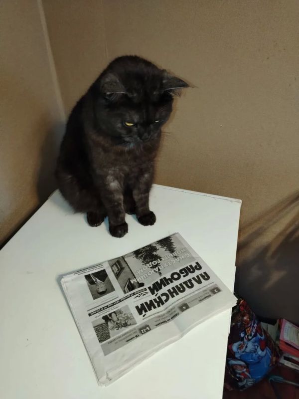 ������� ���� ������ � �����!