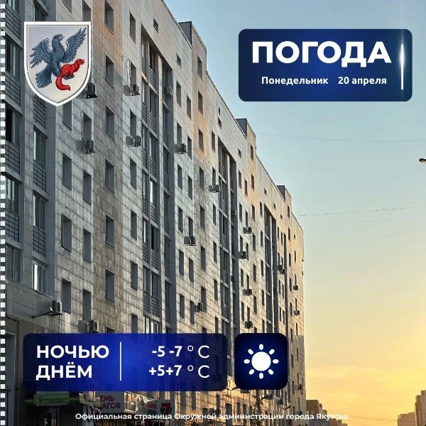 ������� ������ � ������� �� 20 ������