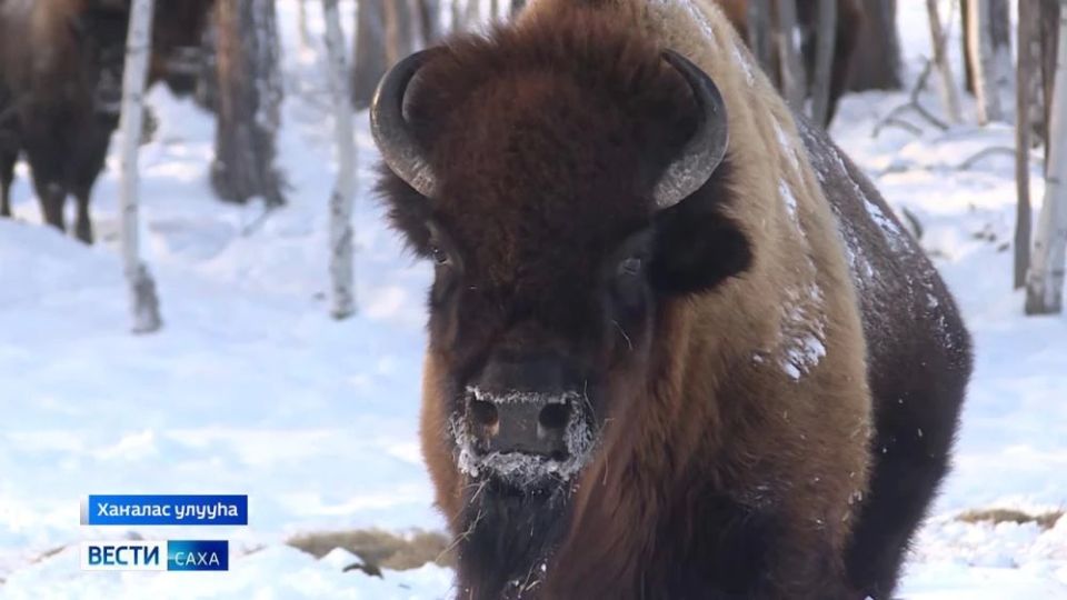 � ������ �� 20 ��� ���������� ������ ������� ����������� � 10 ���