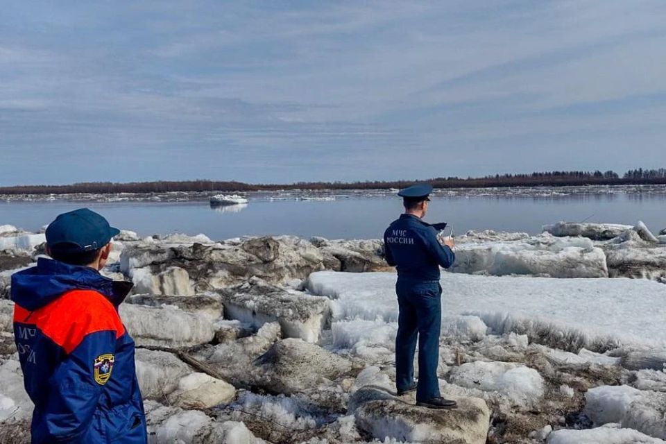 ������ ������ � 2026 ���� �������� ����� 44 ��� ������ �� ���������� ������������ ����� ��� ����������� ����������� �������