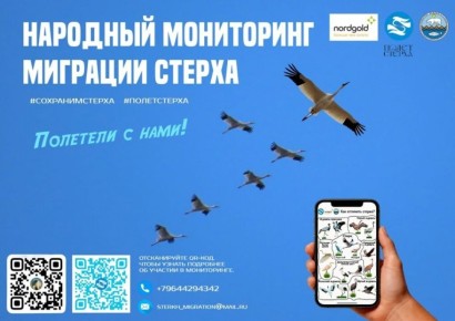 ����� ������: ������ ���������� �������������� � ��������� �����������