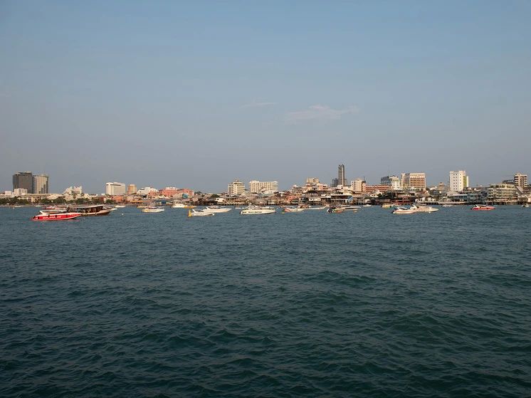 �������� ����: ������ �� ����� ������� ���������, ���������� ������ � ��������