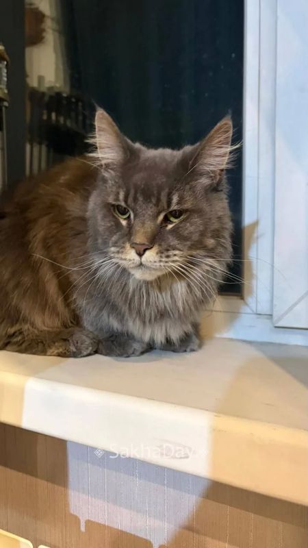 ������ ��� ��� ����� ������ ���� ���, ����� 31 ����� 89241662915