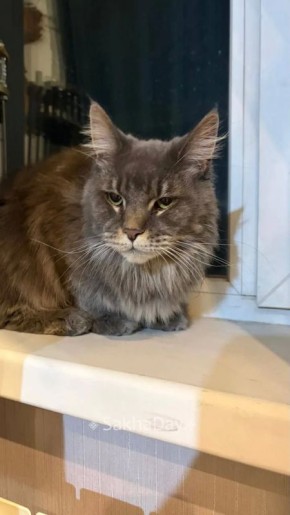 ������ ��� ��� ����� ������ ���� ���, ����� 31 ����� 89241662915