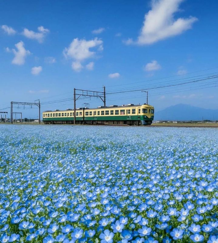 �� ������� ������. � ������ ����� �� ������ ������ � ������ �������� ����� ������� �������